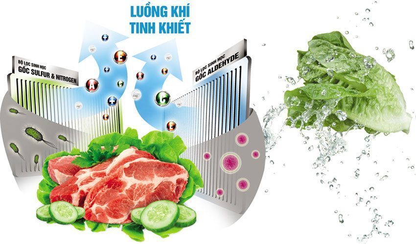 Công nghệ khử mùi của tủ lạnh Inverter Toshiba GR-AG46VPDZ-XG