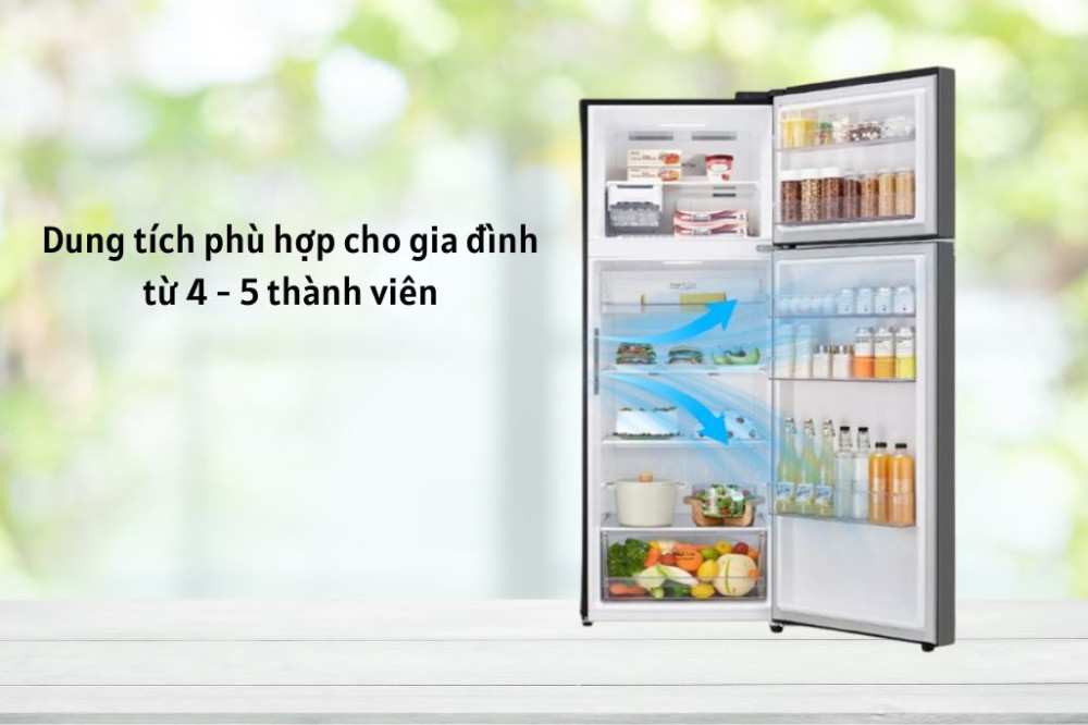 Tủ lạnh LG inverter 461 lít LTB46BLG - Hàng chính hãng