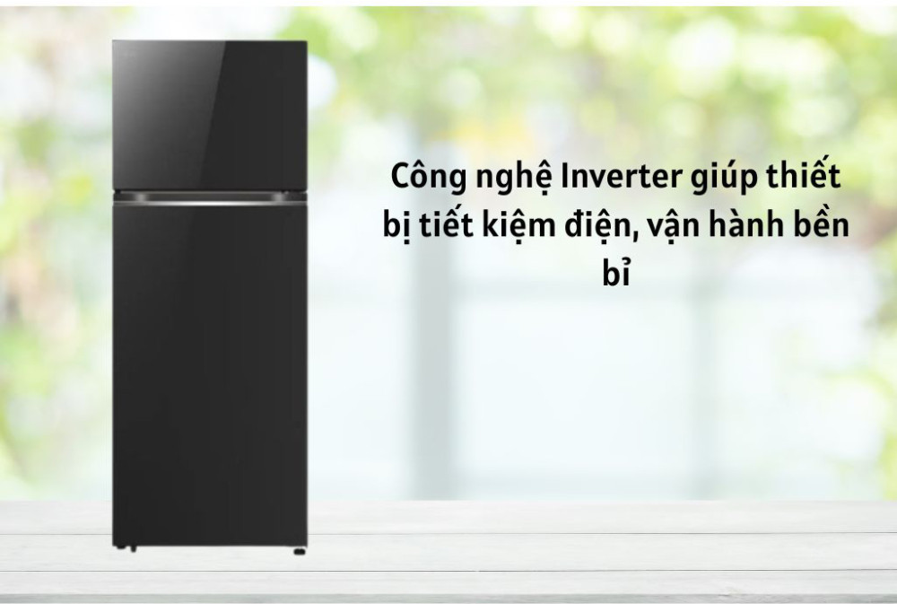 Tủ lạnh LG inverter 461 lít LTB46BLG - Hàng chính hãng