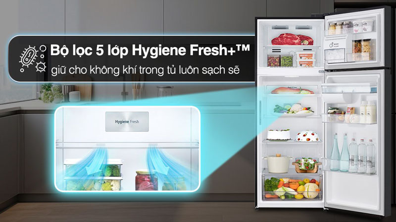 Tủ lạnh LG inverter 459 lít LTD46BLMA - Hàng chính hãng