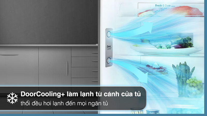 Tủ lạnh LG inverter 459 lít LTD46BLMA - Hàng chính hãng