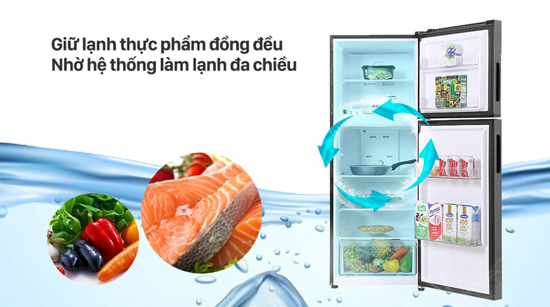Tủ Lạnh Aqua Inverter AQR-T239FA(HB) - Hàng chính hãng