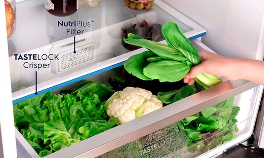 Tủ lạnh hai cửa Inverter Electrolux EBE4500B-G với ngăn chứa rua củ riêng biệt