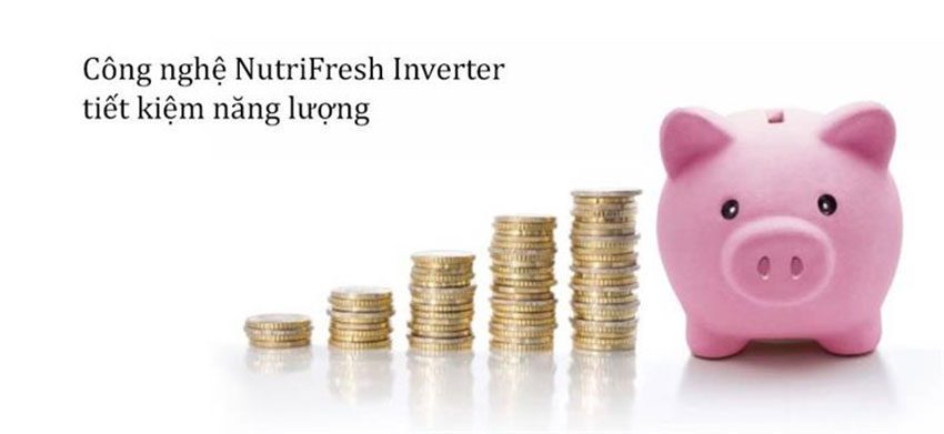 Tủ lạnh hai cửa Inverter Electrolux ETB4600B-G - Hàng chính hãng