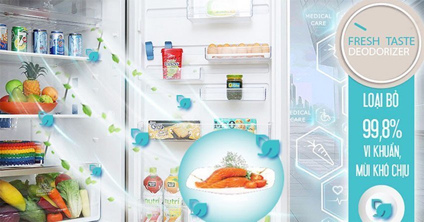 Tủ lạnh inverter 260 lít Electrolux ETB2802H-H - Hàng chính hãng