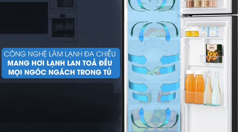 Tủ lạnh LG Inverter 243L GV-B242BL - Hàng chính hãng