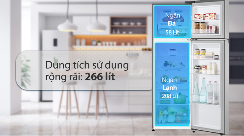 Tủ lạnh LG Inverter 266 lít GV-B262BL - Hàng chính hãng