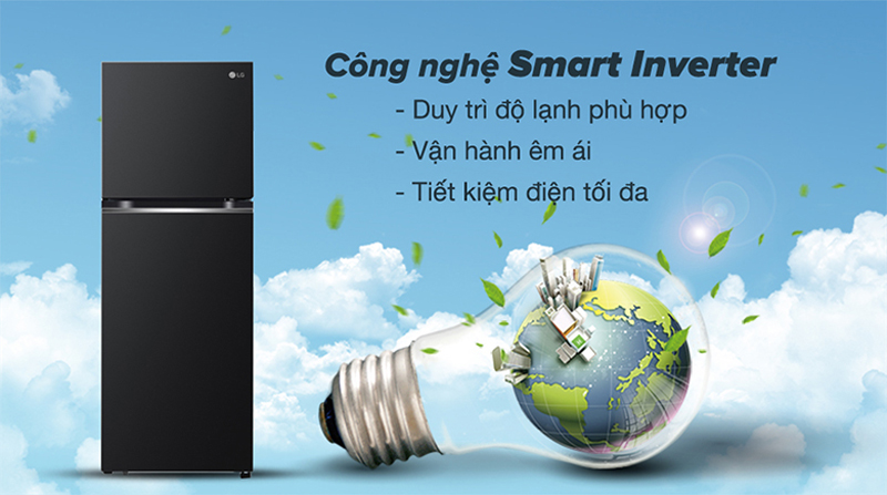 Tủ lạnh LG Inverter 266 lít GV-B262BL - Hàng chính hãng