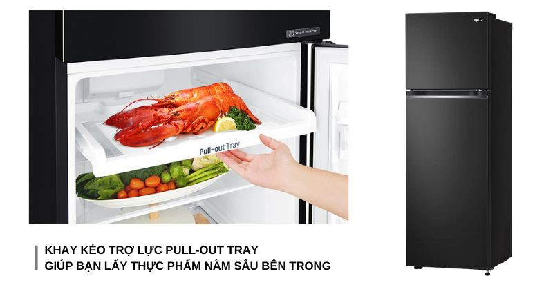 Tủ lạnh LG Inverter 266 lít GV-B262BL - Hàng chính hãng