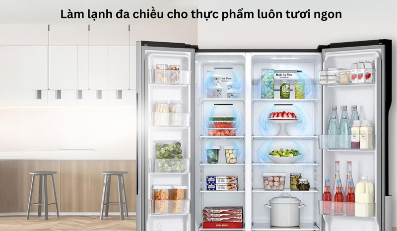 Tủ lạnh LG Inverter 519 lít GR-B256BL - Hàng chính hãng