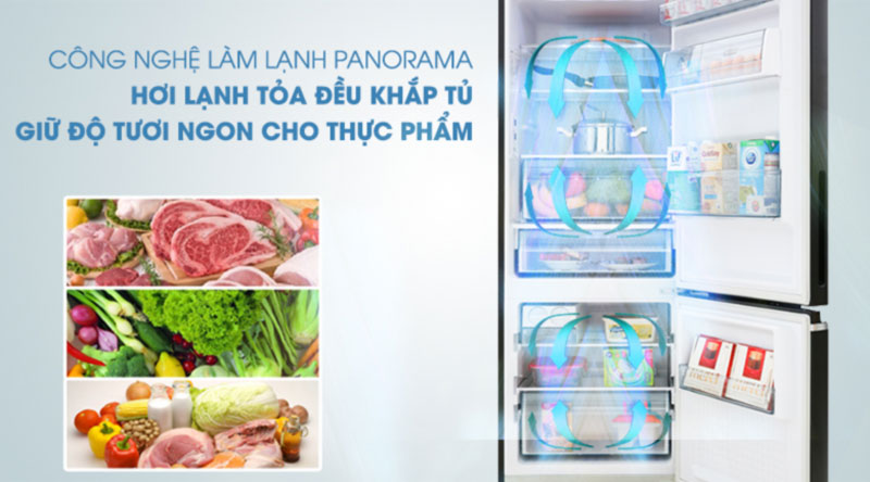 Tủ lạnh Panasonic NR-BV320GKVN - 290 lít - Hàng chính hãng