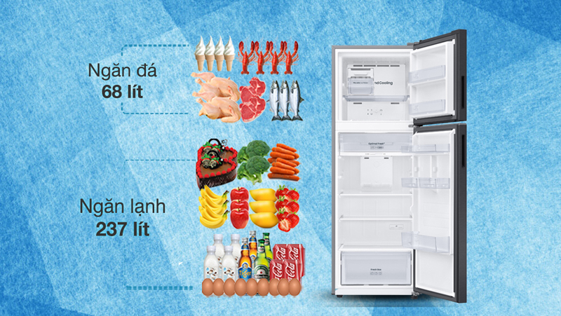 Dung tích lớn 305L giúp dự trữ được số lượng lớn thực phẩm