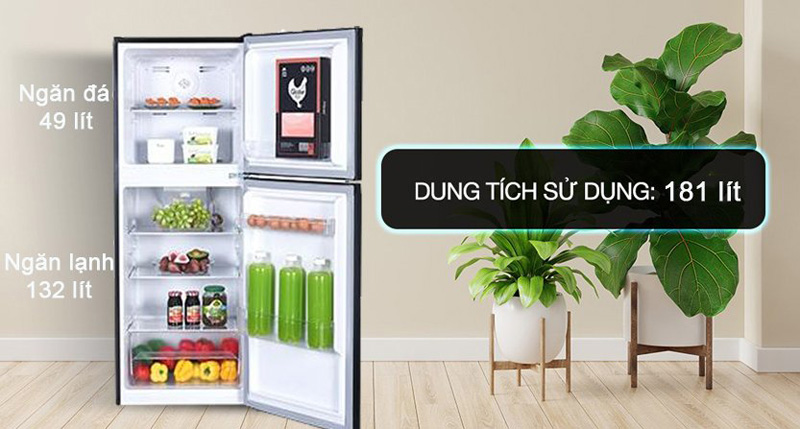 Tủ có dung tích 181L phù hợp cho gia đình có từ 2-3 thành viên
