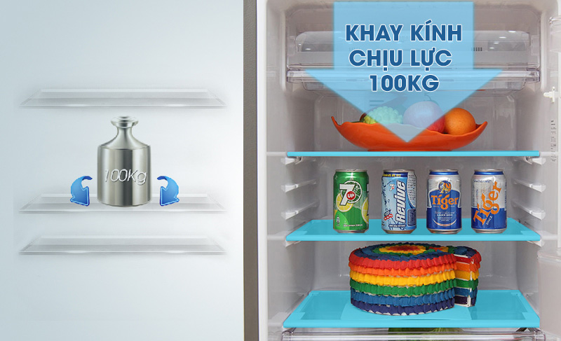 Kệ trữ thực phẩm bằng kính chịu lực, tạo độ bền lâu