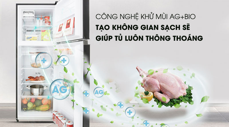Tủ lạnh Toshiba GR-B31VU SK - Hàng chính hãng