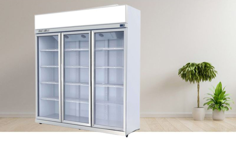 Tủ mát 2 cánh kính TurboGold TG-3DC-GS - Hàng chính hãng