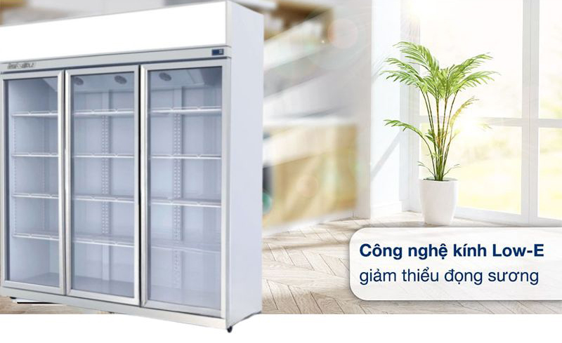 Tủ mát 2 cánh kính TurboGold TG-3DC-GS - Hàng chính hãng