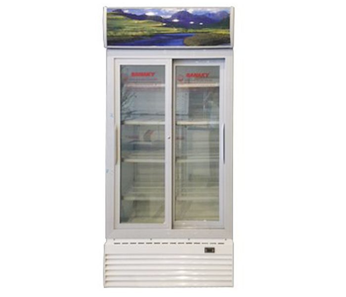 Tủ mát Sanaky VH-1009HP2 - Hàng chính hãng