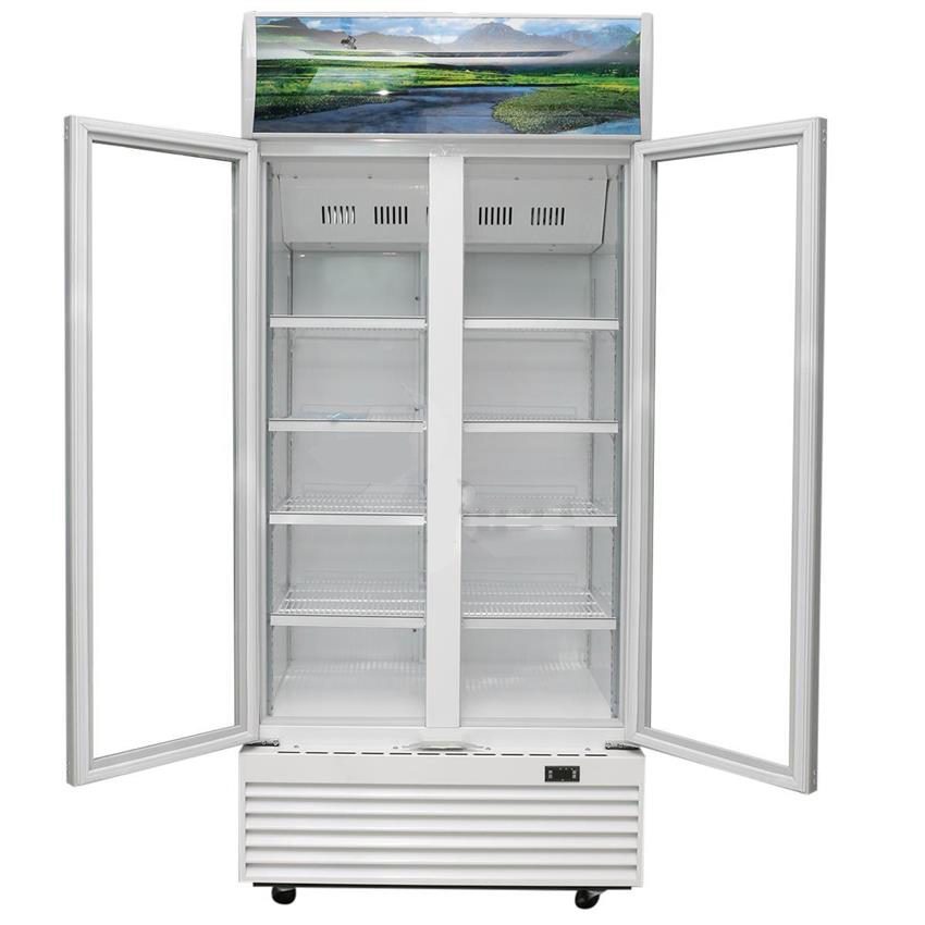 Thiết kế cửa của tủ mát Sanaky VH-1200HP