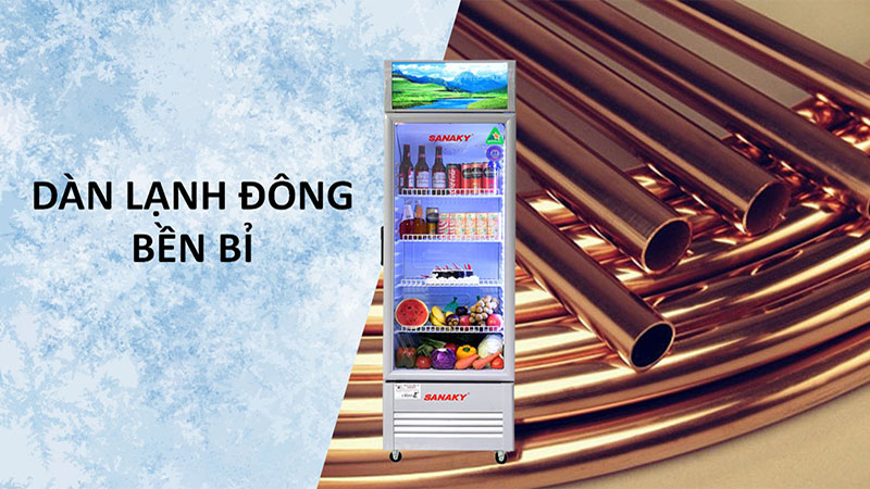 Dàn lạnh của Tủ mát Sanaky VH-5089K