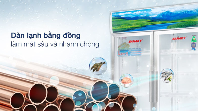 Tủ mát Sanaky VH-6009HP - Hàng chính hãng
