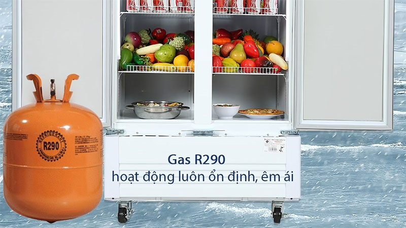 Tủ mát Sanaky VH-8009HP - Hàng chính hãng