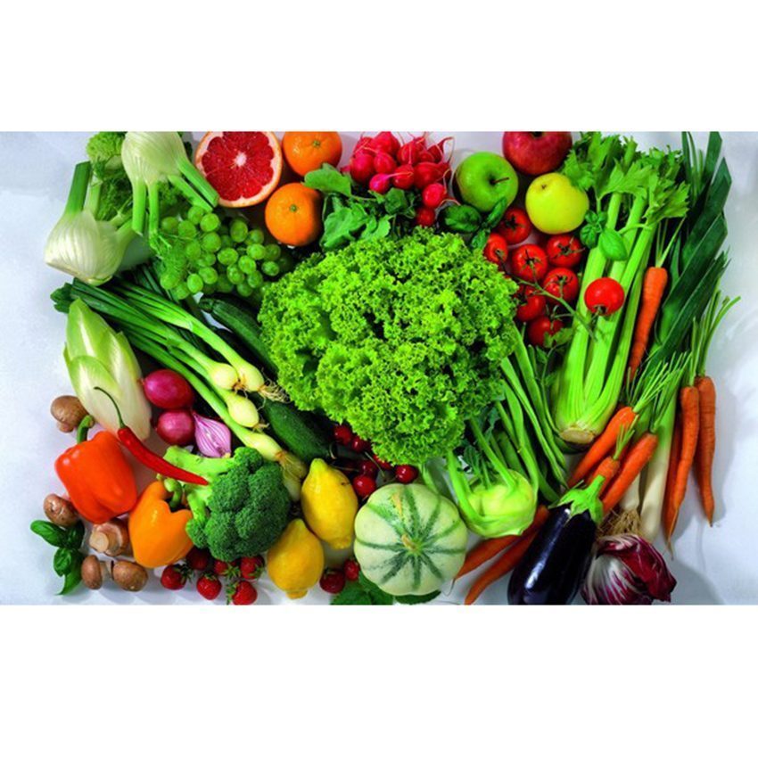 Công dụng của tủ mát Sanaky VH-1209HP2