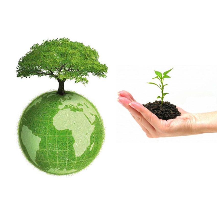 Chức năng của tủ mát Sanaky VH-1209HP2