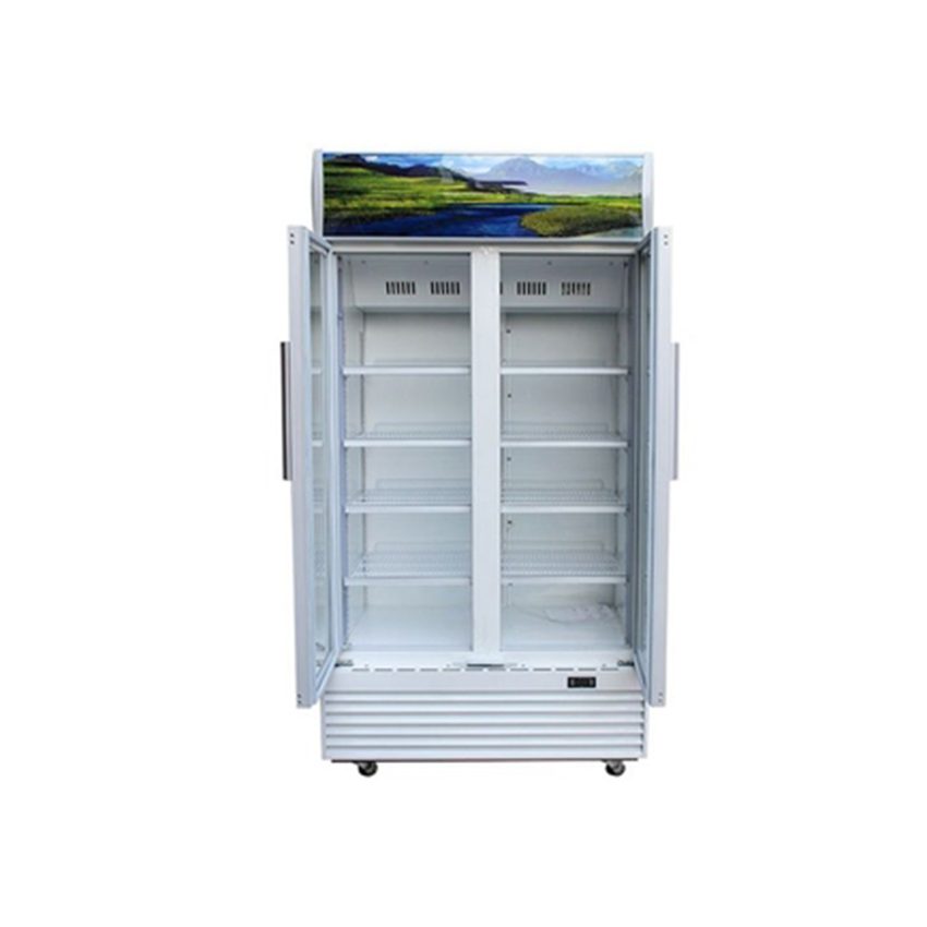 Tủ mát Sanaky VH-1209HP