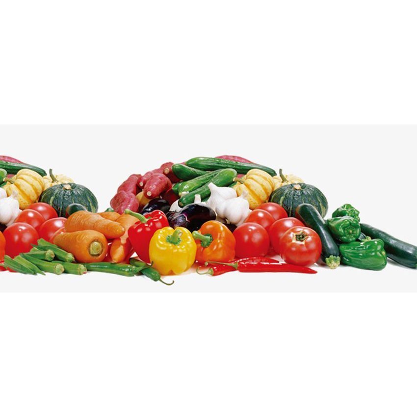 Công dụng của tủ mát Sanaky VH-6009HPNK 