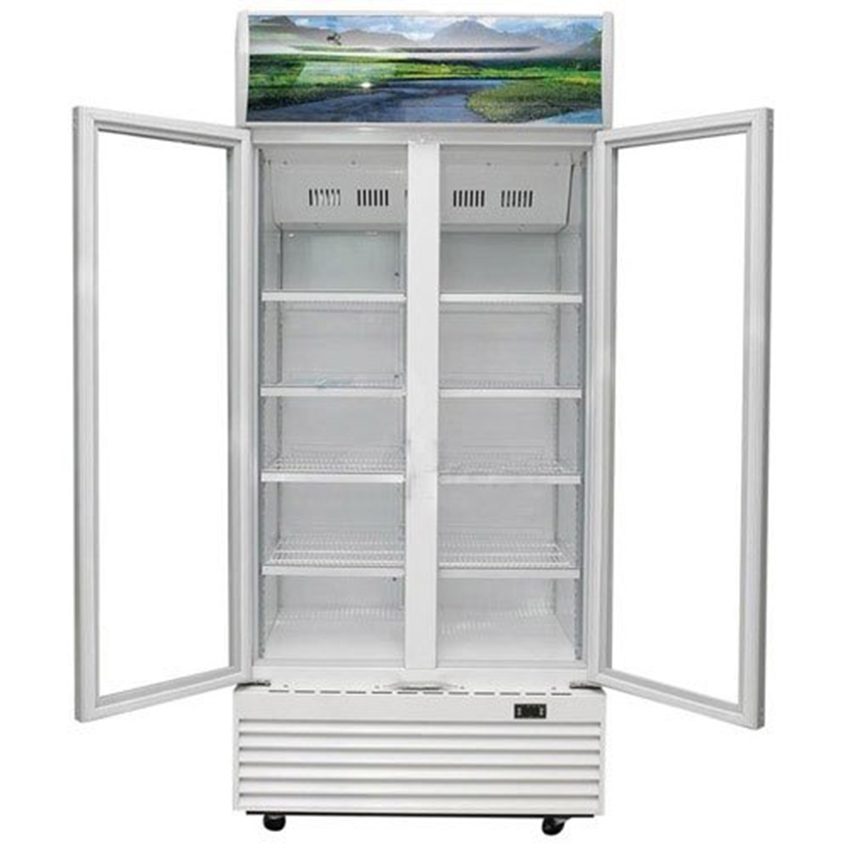 Thiết kế của tủ mát Sanaky VH-8009HP