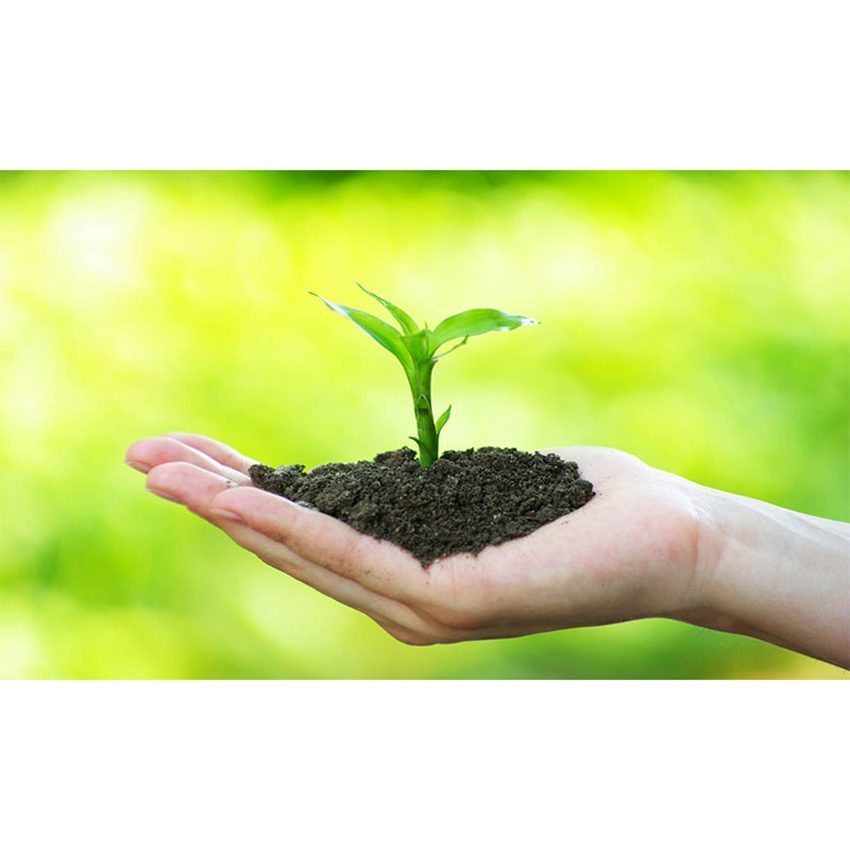 Chức năng của tủ mát Sanaky VH-8009HP