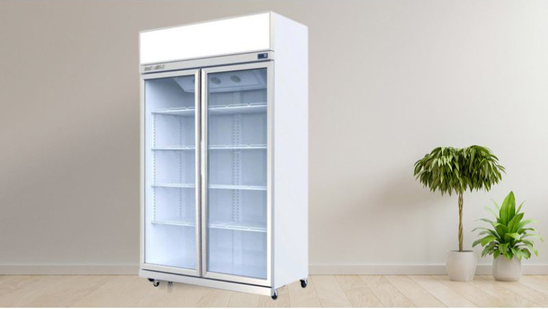 Tủ mát 2 cánh kính TurboGold TG-2DC-GS - Hàng chính hãng