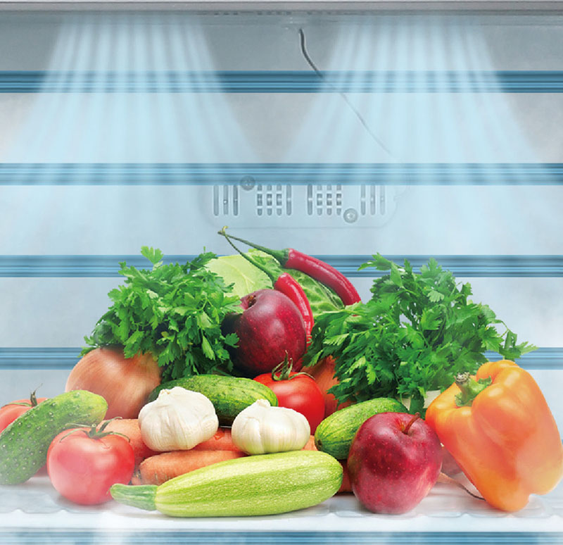 Tủ mát 1 cánh kính Fuji Air FR25-1G - Hàng chính hãng