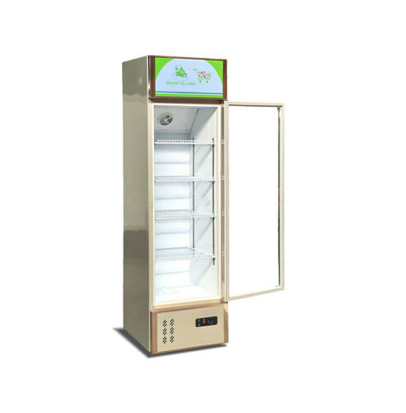 Tủ mát trưng bày cánh kính Snow Village LC-298H - Hàng chính hãng