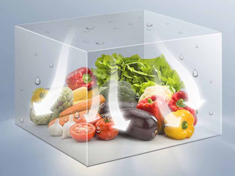 Tủ bảo quản và trưng bày Cobi RT-550L - Hàng chính hãng