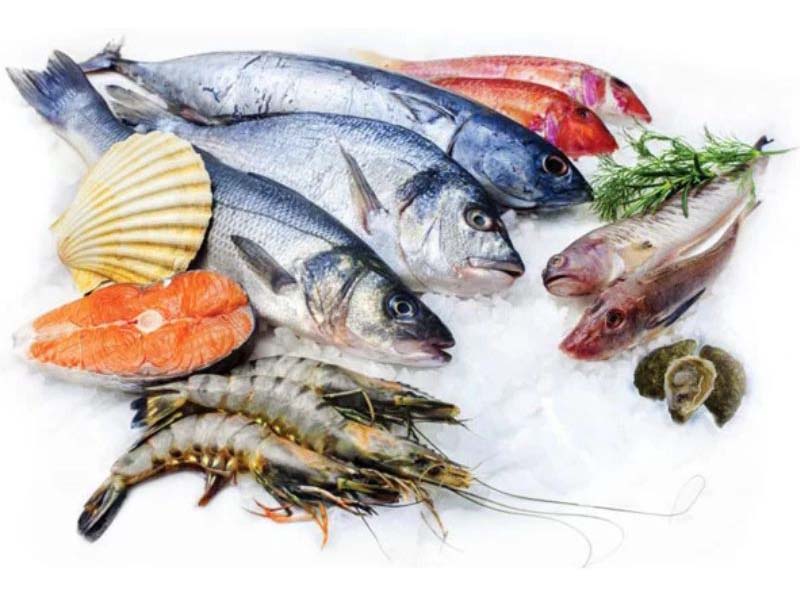 Tủ nửa đông nửa mát 4 cánh Skipio SRFT45-4P - Hàng chính hãng