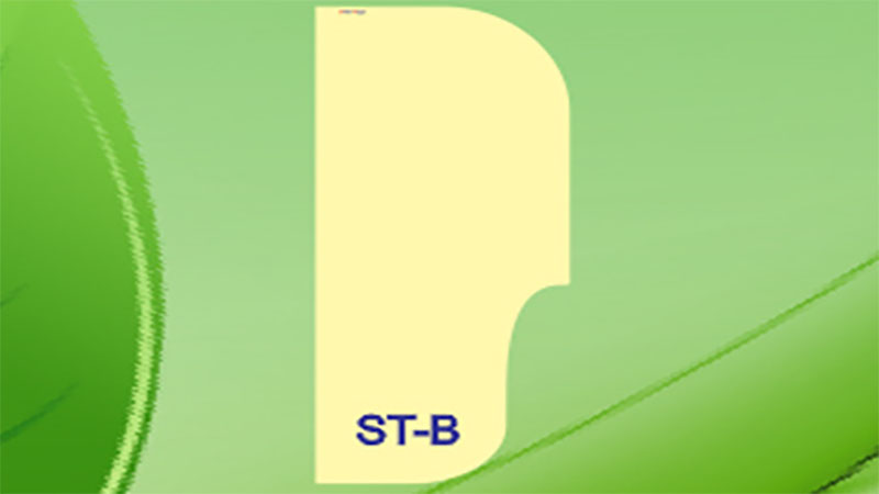 Vách ngăn bồn tiểu nam Smarttech ST-B - Hàng chính hãng