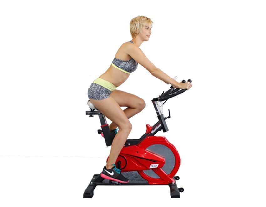 Xe đạp tập thể thao Tiger Sport TG-225 - Hàng chính hãng