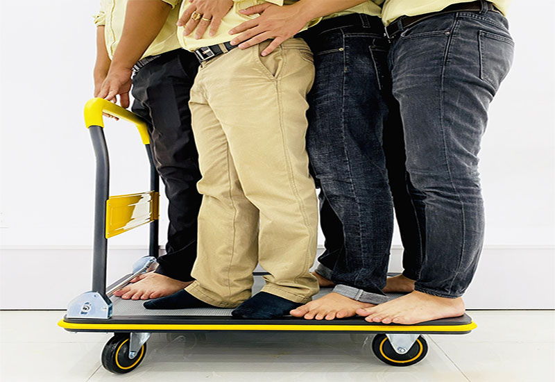 Tải trọng của Xe đẩy hàng Sumika T300