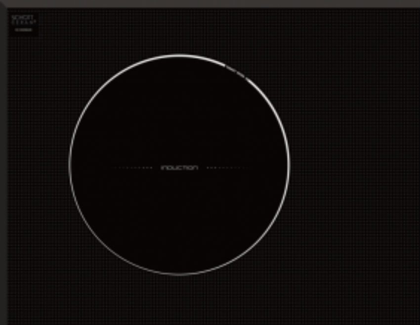 Bếp hồng ngoại điện từ Eurosun EU-TE226Plus - Hàng chính hãng