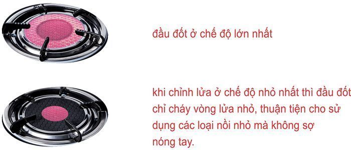 Bếp gas đôi hồng ngoại Bluestar NG-5950C - Hàng chính hãng