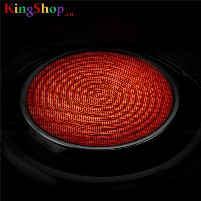 Bếp gas hồng ngoại đơn Bewinr BW-2013HN - Hàng chính hãng