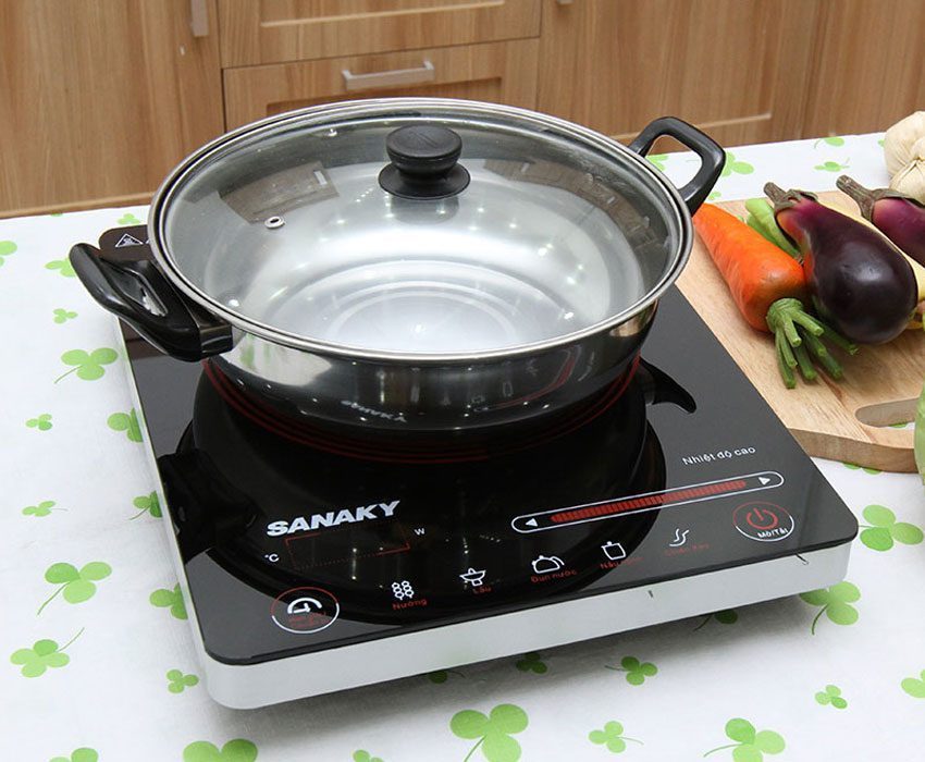 Bếp hồng ngoại Sanaky SNK-2102HG-2