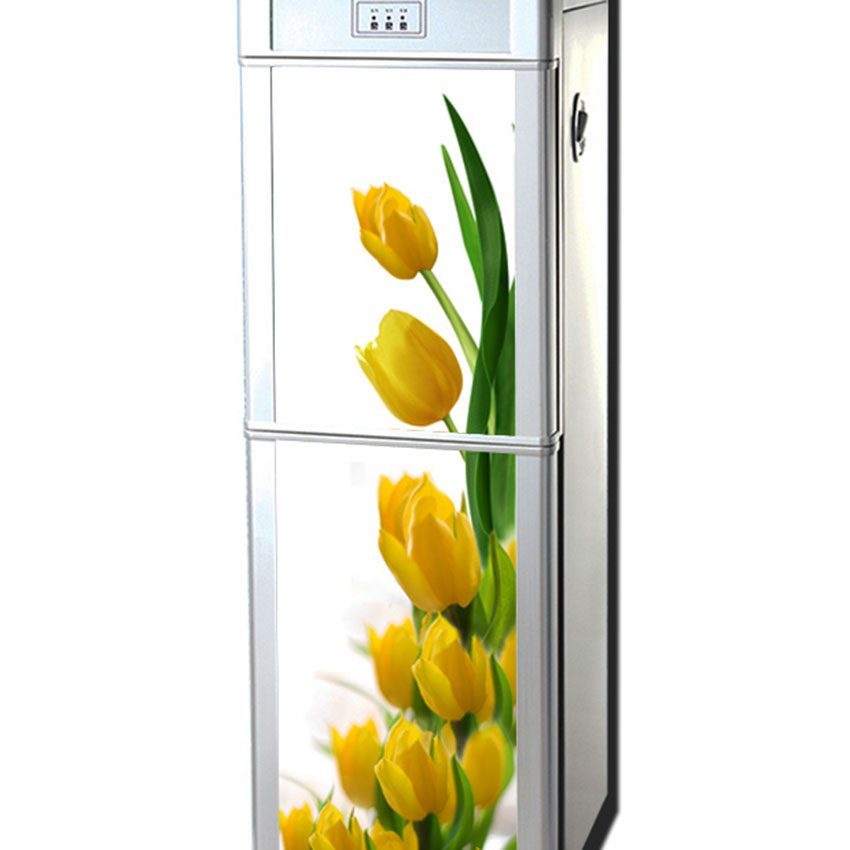 Cây nước nóng lạnh Alaska R90C