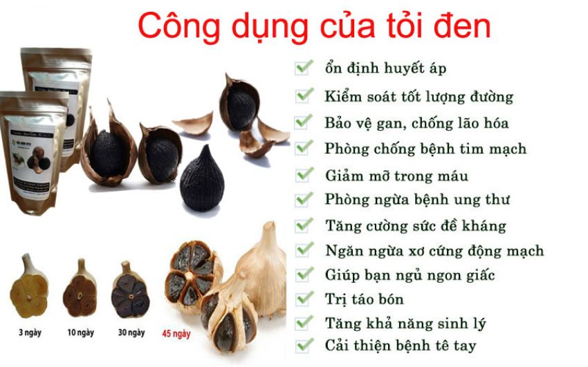 Công dụng của tỏi đen qua Máy làm tỏi đen Saiko BGF-900