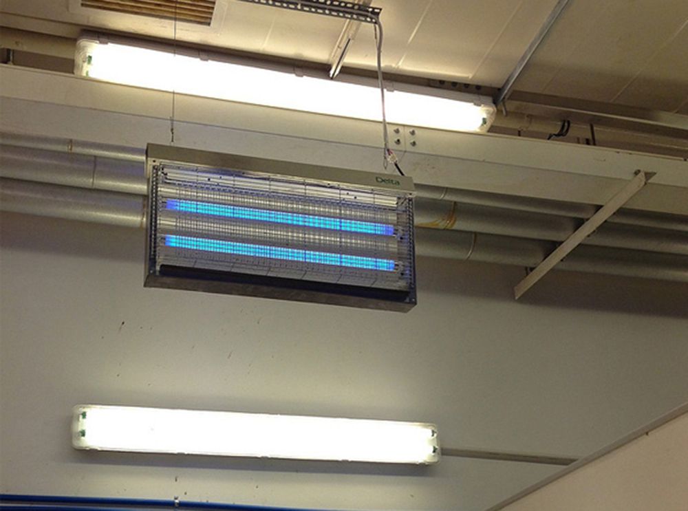 Đèn diệt côn trùng Delta GN-30 - Hàng chính hãng