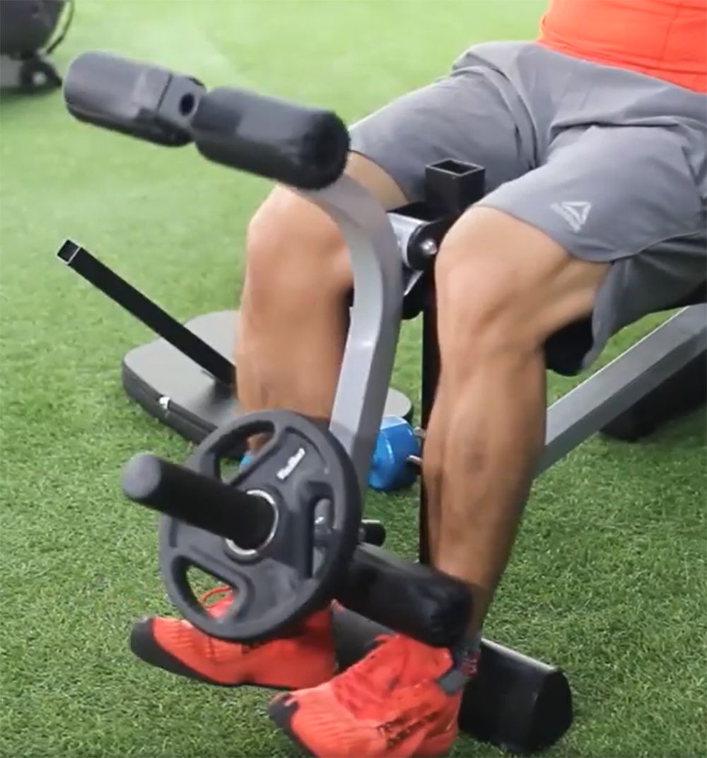 Ghế đẩy tạ đa năng Tiger Sport TGH-995 - Hàng chính hãng