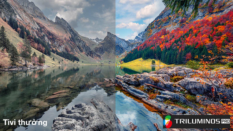 Google Tivi Sony 4K 65 inch KD-65X80L - Hàng chính hãng