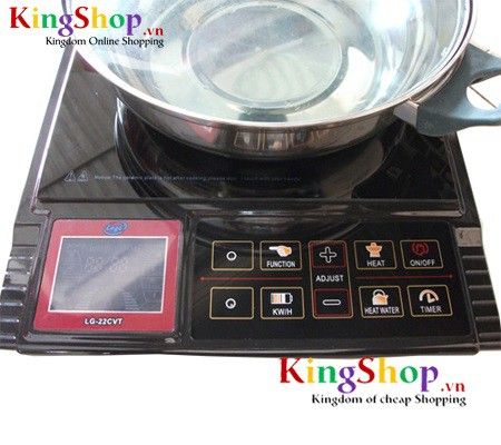 Bếp điện từ Legi LG-22C-VT - Hàng chính hãng